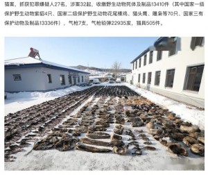 【海外発！Breaking News】中国で密猟者ら27人を逮捕　野生動物の死骸13000体超を警察が押収