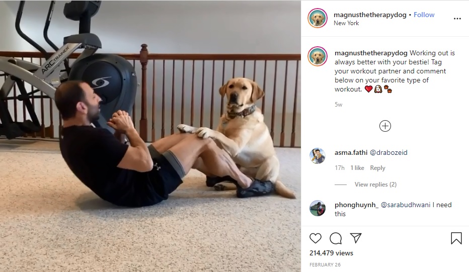 腹筋する飼い主の脚を押さえる犬（画像は『Magnus The Therapy Dog　2020年2月26日付Instagram「Working out is always better with your bestie!」』のスクリーンショット）