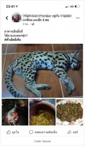 ベンガルヤマネコを調理した写真を女がFacebookに投稿（画像は『ThaiResidents.com　2020年4月15日付「Girl eats Leopard Cat and shares it online」（Credit: Sanook）』のスクリーンショット）