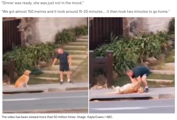 どうしても散歩したくない犬と散歩させたい飼い主（画像は『10 daily　2020年4月28日付「Owner Of Dog Who Refused To Go On A Walk Breaks His Silence」（Image: Kayla Evans / ABC）』のスクリーンショット）