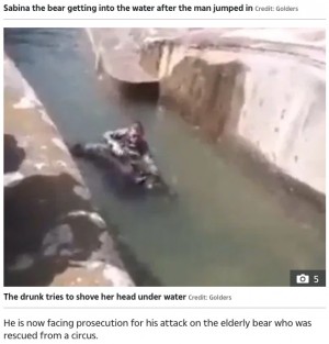 【海外発！Breaking News】動物園の檻に乱入した男、クマを溺死寸前に（ポーランド）＜動画あり＞