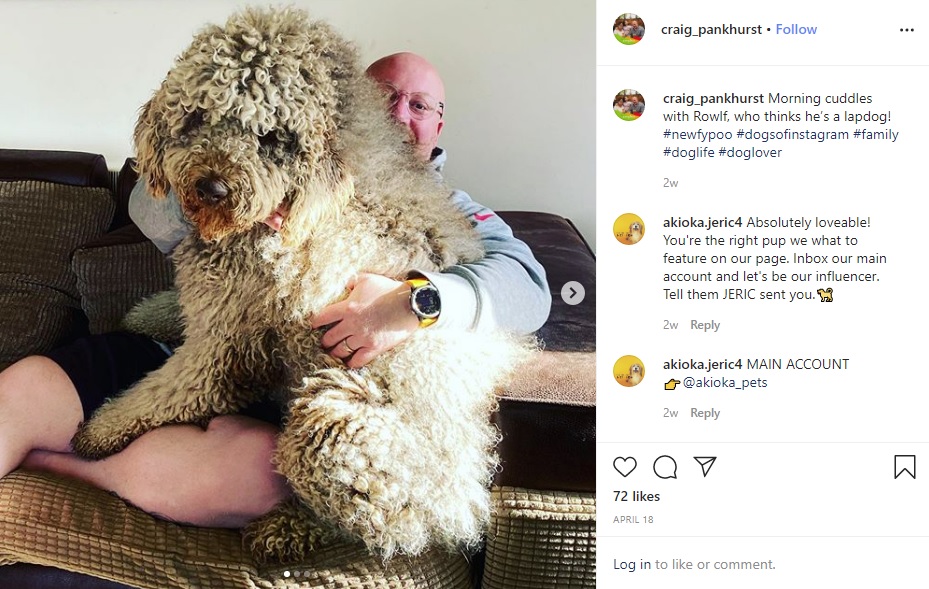 ハグが大好きな大型犬“ロルフ”（画像は『Craig Pankhurst　2020年4月18日付Instagram「Morning cuddles with Rowlf, who thinks he’s a lapdog!」』のスクリーンショット）