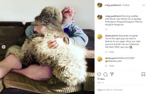 思わず笑みがこぼれる飼い主のクレイグさん（画像は『Craig Pankhurst　2020年4月18日付Instagram「Morning cuddles with Rowlf, who thinks he’s a lapdog!」』のスクリーンショット）