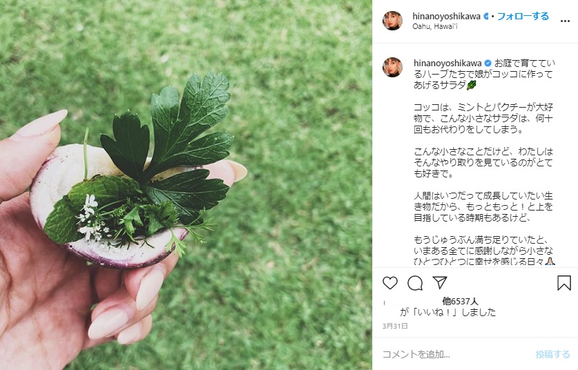 吉川ひなのの娘がコッコのために作ったサラダ（画像は『HINANO　2020年3月31日付Instagram「お庭で育てているハーブたちで娘がコッコに作ってあげるサラダ」』のスクリーンショット）