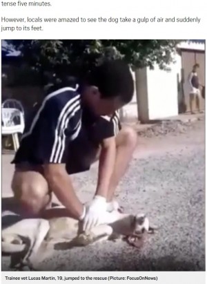 【海外発！Breaking News】獣医見習いの19歳、路上で心肺停止の犬の命を救う（ブラジル）＜動画あり＞