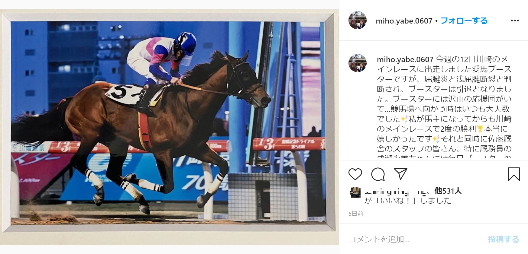 競走馬を引退したブースター（画像は『矢部みほ　2020年5月14日付Instagram「今週の12日川崎のメインレースに出走しました愛馬ブースターですが、屈腱炎と浅屈腱断裂と判断され、ブースターは引退となりました。」』のスクリーンショット）