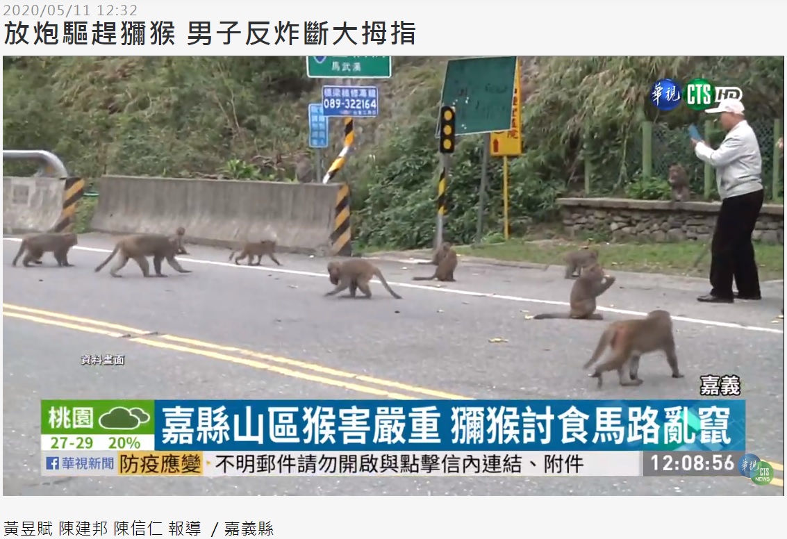 サルによる被害が深刻な台湾・嘉義県の山間部（画像は『華視新聞　2020年5月11日付「放炮驅趕獼猴 男子反炸斷大拇指」』のスクリーンショット）
