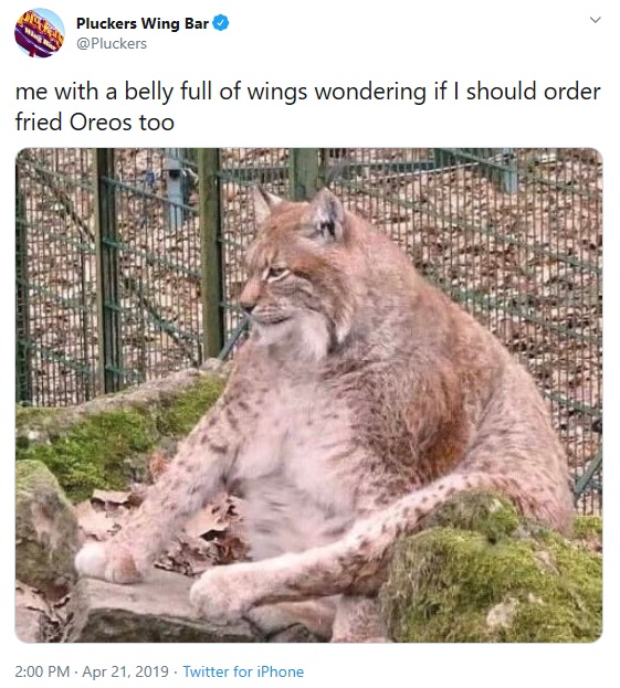 米ファストフードチェーンの広告に起用されたことも（画像は『Pluckers Wing Bar　2019年4月21日付Twitter「me with a belly full of wings wondering if I should order fried Oreos too」』のスクリーンショット）