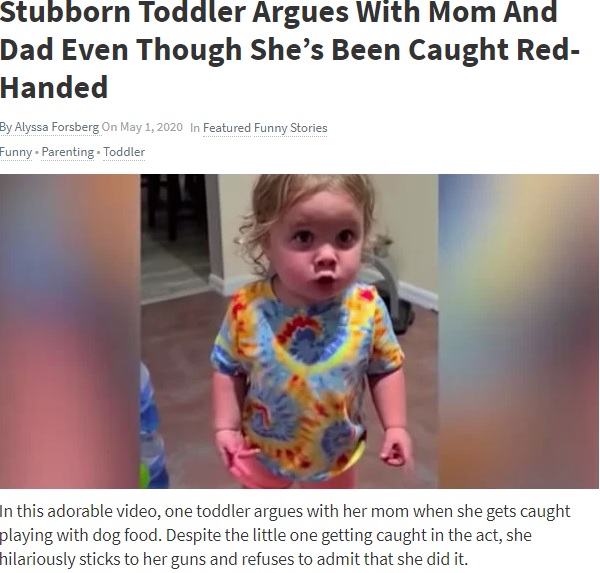 頑なに「触ってない」と主張する1歳児（画像は『GodUpdates.com　2020年5月1日付「Stubborn Toddler Argues With Mom And Dad Even Though She’s Been Caught Red-Handed」』のスクリーンショット）