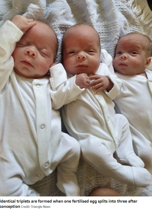 3人ともそっくり（画像は『The Sun　2020年5月3日付「‘ABSOLUTELY SMASHING’ Mum, 26, beats odds of 200 million to one to give birth to naturally conceived identical triplets」（Credit: Triangle News）』のスクリーンショット）