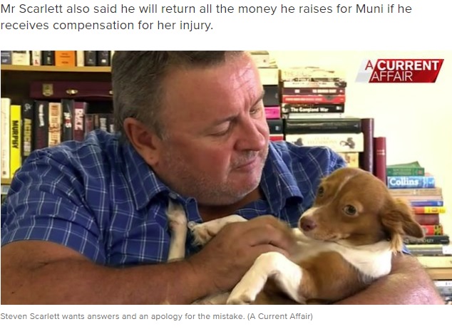 飼い主のスティーブさんとマニー（画像は『9Now　2020年5月6日付「One legged man horrified after Queensland vet mistakenly amputates dog’s wrong leg」（A Current Affair）』のスクリーンショット）
