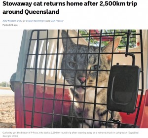 【海外発！Breaking News】引っ越しトラックに乗り込んでしまった猫、2500kmを移動し無事飼い主の元に戻る（豪）＜動画あり＞