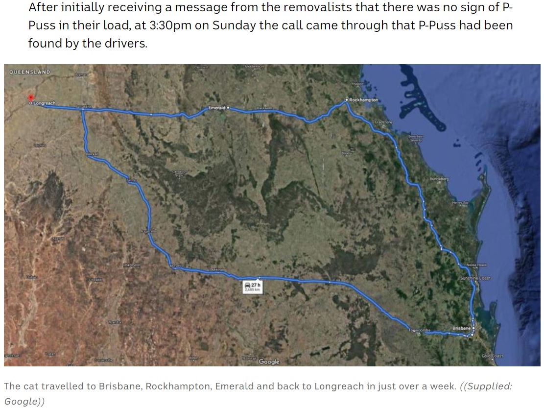 約2500kmのP・プスの移動を示すマップ（画像は『ABC News　2020年6月1日付「Stowaway cat returns home after 2,500km trip around Queensland」（Supplied: Google）』のスクリーンショット）