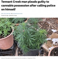 【海外発！Breaking News】「大麻が盗まれた」警察に通報した男、大量に栽培していたことが発覚し逮捕（豪）
