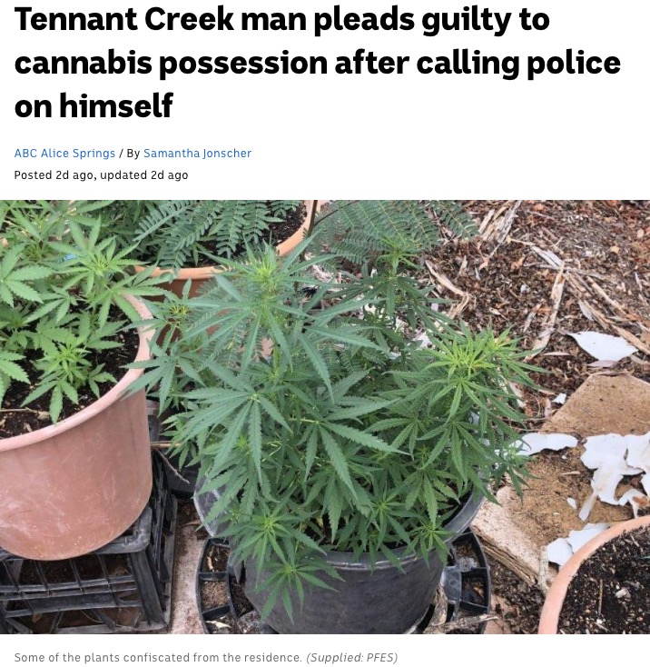 「大麻が盗まれた」と通報するも…（画像は『ABC News　2020年6月10日付「Tennant Creek man pleads guilty to cannabis possession after calling police on himself」（Supplied: PFES）』のスクリーンショット）