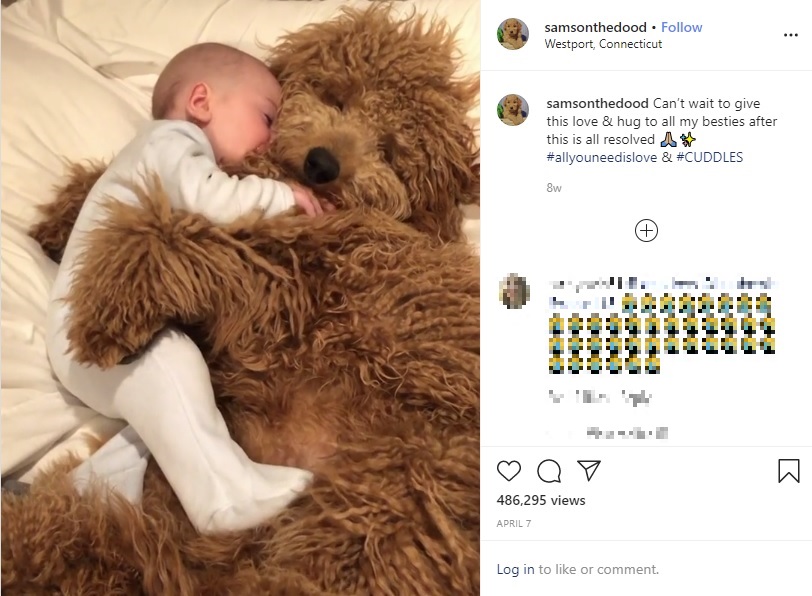 ハグをして眠りにつく生後6か月の赤ちゃん（画像は『Samson The Goldendoodle （f1b）　2020年4月7日付Instagram「Can’t wait to give this love ＆ hug to all my besties after this is all resolved」』のスクリーンショット）