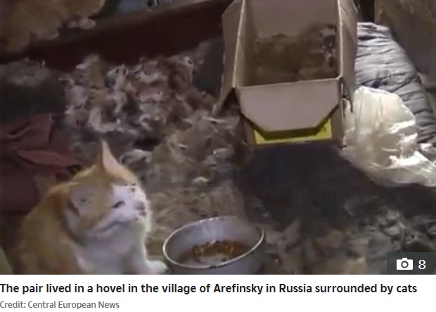 ネコやネズミがいる汚い部屋で暮らしていた親子（画像は『The Sun　2020年6月24日付「HOUSE OF HORRORS Russian mum ‘forced her daughter to live off CAT FOOD while caged at her home for 26 years’」（Credit: Central European News）』のスクリーンショット）