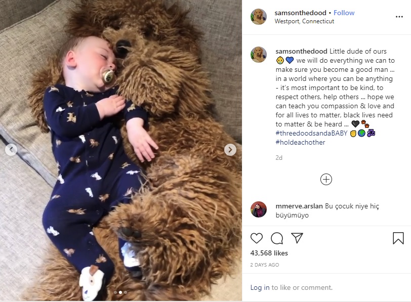 生後6か月のテオ君とゴールデンドゥードル（画像は『Samson The Goldendoodle （f1b）　2020年6月4日付Instagram「Little dude of ours」』のスクリーンショット）
