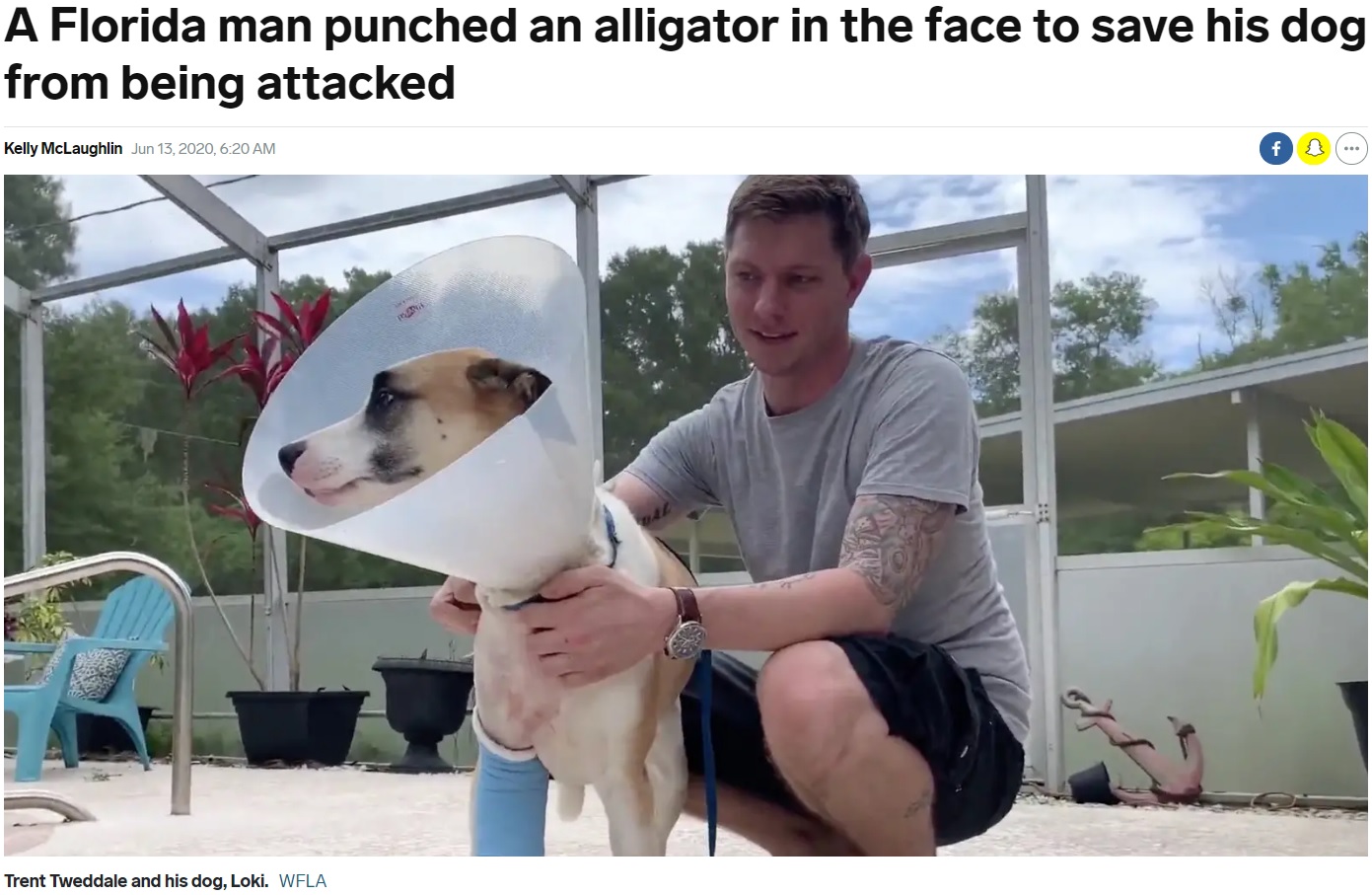 ワニに襲われた愛犬と飼い主の男性（画像は『Insider　2020年6月13日付「A Florida man punched an alligator in the face to save his dog from being attacked」（WFLA）』のスクリーンショット）