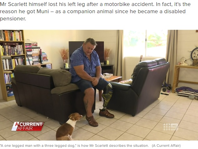 左脚を失っていたスティーブさん（画像は『9Now　2020年5月6日付「One legged man horrified after Queensland vet mistakenly amputates dog’s wrong leg」（A Current Affair）』のスクリーンショット）