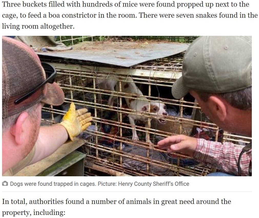 ケージに入れられた犬も救出（画像は『Queensland Times　2020年6月28日付「Toddler found in cage with abused animals」（Picture: Henry County Sheriff’s Office）』のスクリーンショット）