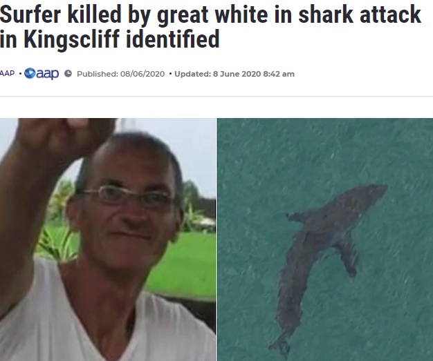 サメに襲われて命を落とした60歳男性（画像は『7NEWS.com.au　2020年6月8日付「Surfer killed by great white in shark attack in Kingscliff identified」（Credit: 7NEWS）』のスクリーンショット）