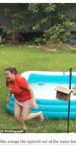 リスに飛び乗られた後に逃げ出す娘（画像は『TrendsWide　2020年6月10日付「Hilarious moment girl attempts to rescue squirrel from kid’s paddling pool」（ViralHog.com）』のスクリーンショット）