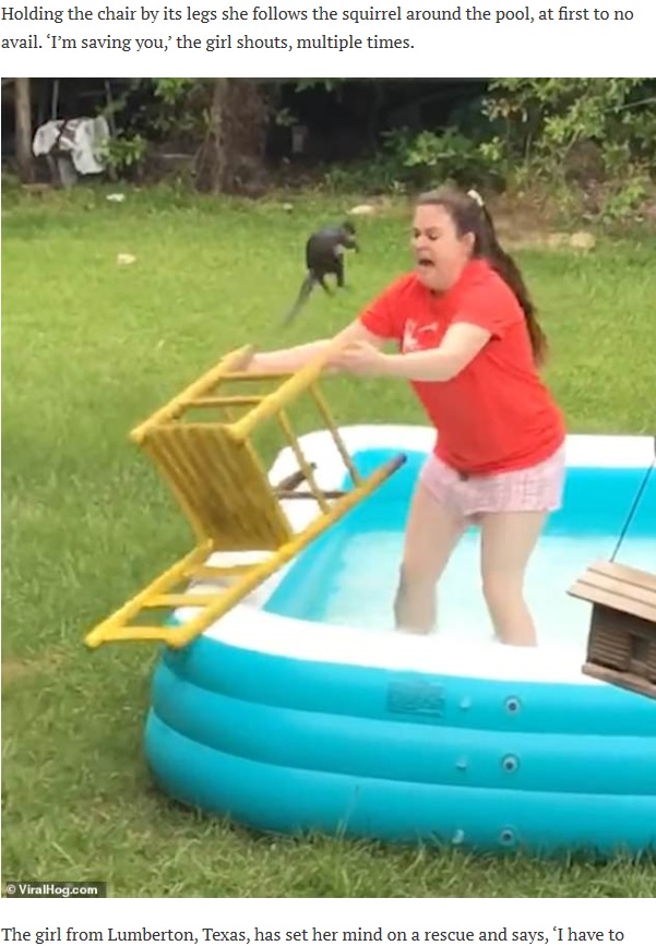 リスに飛び乗られる瞬間（画像は『TrendsWide　2020年6月10日付「Hilarious moment girl attempts to rescue squirrel from kid’s paddling pool」（ViralHog.com）』のスクリーンショット）