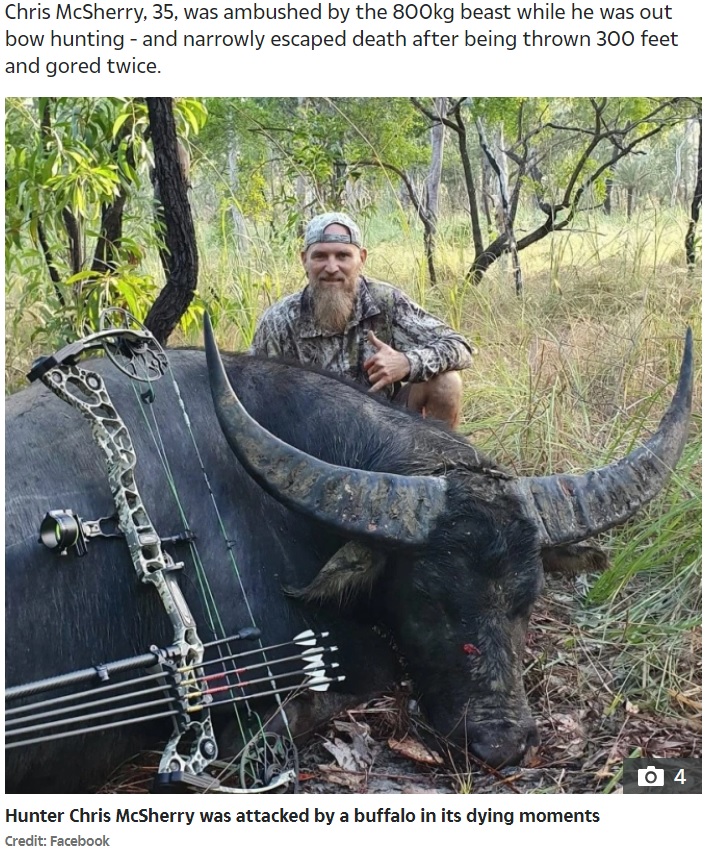 ハンターの男性が仕留めた水牛（画像は『The Sun　2020年6月26日付「GORE BLIMEY Massive dying buffalo wreaks final revenge on hunter with brutal attack that left him with horror wounds to leg」（Credit: Facebook）』のスクリーンショット）