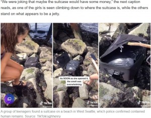 TikTok撮影中に発見された遺体の一部が入ったスーツケース（画像は『Yahoo News Australia　2020年6月22日付「Teens make terrifying discovery in suitcase during TikTok challenge」（Source: TikTok/ughhenry）』のスクリーンショット）