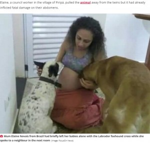 エレインさんと2頭の飼い犬（画像は『Daily Star　2020年7月1日付「‘Jealous’ Labrador mauls newborn twins to death while mum talking to neighbour」（Image: FocusOn News）』のスクリーンショット）