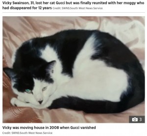 行方不明になる前の猫の“グッチ”（画像は『The Sun 2020年6月30日付「CAT REAPPURRS Woman stunned after being reunited with her missing cat Gucci – 12 YEARS after he vanished」（Credit: SWNS:South West News Service）』のスクリーンショット）