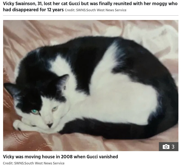 行方不明になる前の猫の“グッチ”（画像は『The Sun 2020年6月30日付「CAT REAPPURRS Woman stunned after being reunited with her missing cat Gucci – 12 YEARS after he vanished」（Credit: SWNS:South West News Service）』のスクリーンショット）