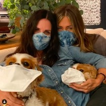 【イタすぎるセレブ達】コートニー・コックスの愛犬達が「マスクをつけて！」　ジェニファー・アニストンも一緒に動画で呼びかけ