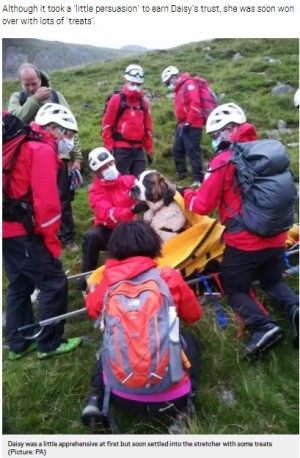 【海外発！Breaking News】55キロのセントバーナード犬、イングランド最高峰で5時間かけて担架で運ばれる＜動画あり＞