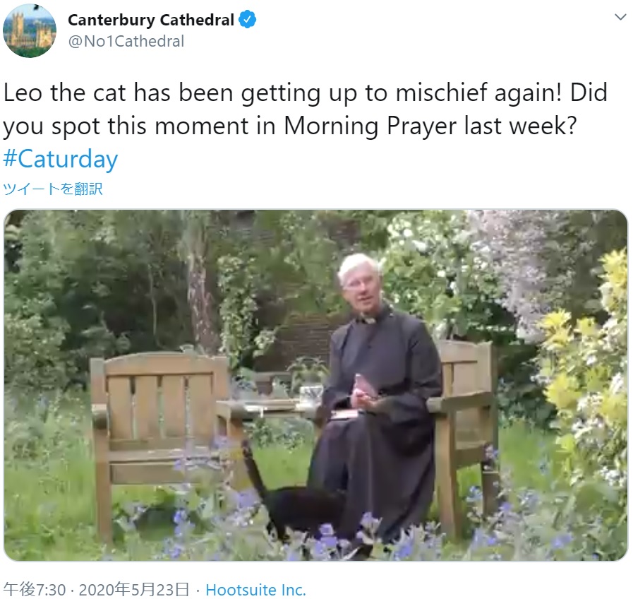 ウィリス司祭の着ているローブの中に入っていく猫の“レオ”（画像は『Canterbury Cathedral　2020年5月23日付Twitter「Leo the cat has been getting up to mischief again!」』のスクリーンショット）