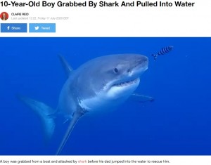 【海外発！Breaking News】「ボートの上にいたのに」サメが10歳少年を襲う　豪でサメ被害続出の原因とは？