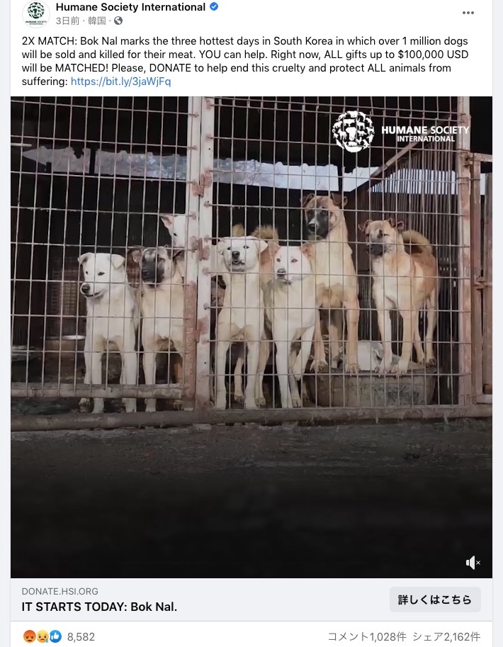 韓国の食用犬農場の犬達（画像は『Humane Society International　2020年7月16日付Facebook「2X MATCH: Bok Nal marks the three hottest days in South Korea in which over 1 million dogs will be sold and killed for their meat.」』のスクリーンショット）