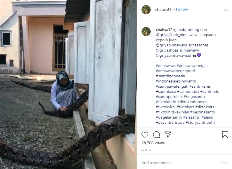 飼育舎に入るヘビとチャウラさん（画像は『chalwa17　2020年7月17日付Instagram「＃jilbabprinting dari ＠griyajilbab_binnawawi langsung kepoin juga」』のスクリーンショット）