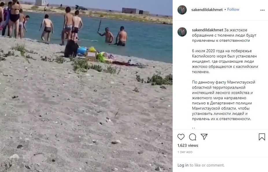 観光客に叩きのめされるアザラシ（画像は『Saken Dildakhmet　2020年7月8日付Instagram「За жестокое обращение с тюленем люди будут привлечены к ответственности」』のスクリーンショット）