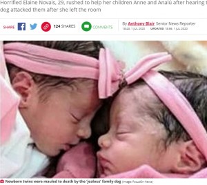 飼い犬に襲われて命を落とした双子（画像は『Daily Star　2020年7月1日付「‘Jealous’ Labrador mauls newborn twins to death while mum talking to neighbour」（Image: FocusOn News）』のスクリーンショット）