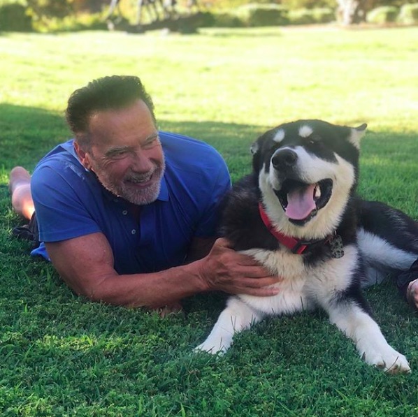 待望の初孫が誕生したアーノルド・シュワルツェネッガー（画像は『Arnold Schwarzenegger　2020年7月28日付Instagram「Meet the newest member of the family, Dutch!」』のスクリーンショット）