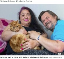 【海外発！Breaking News】元の飼い主に「どうしても会いたい」64キロを6週間かけて旅した猫（英）