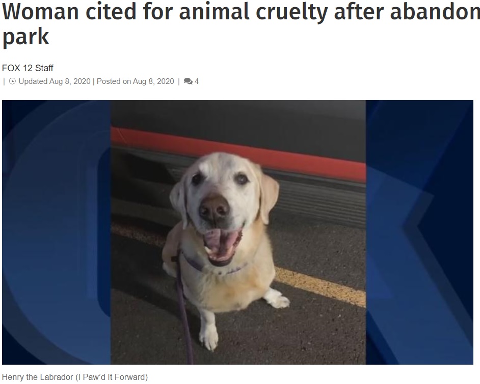 飼い主に捨てられてしまったゴールデンレトリバー（画像は『FOX 12 Oregon　2020年8月8日付「Woman cited for animal cruelty after abandoning dog in Vancouver park」（I Paw’d It Forward）』のスクリーンショット）