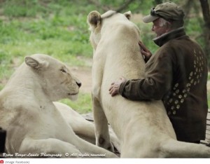 2頭を保護し育ててきたウエストさん（画像は『Mirror　2020年8月27日付「Dad mauled to death by 400lb white lions during ‘rough play’ in front of wife」（Image: Facebook）』のスクリーンショット）
