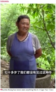 飼い主のチャンさん（画像は『Daily Star　2020年8月25日付「Mutant two-headed calf born to stunned farmers in backwater Chinese village」（Image: Pear Video）』のスクリーンショット）