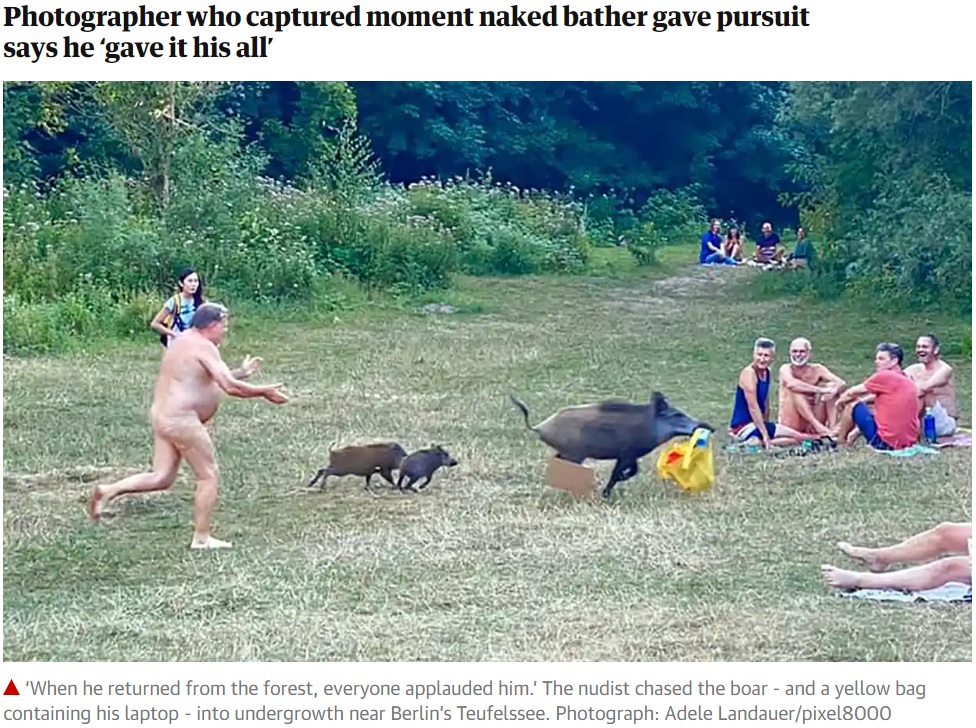 イノシシを追いかける裸の男性（画像は『The Guardian　2020年8月7日付「You swine! German nudist chases wild boar that stole laptop」（Photograph: Adele Landauer/pixel8000）』のスクリーンショット）