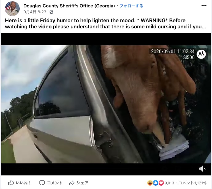 パトカーを離れた隙にヤギが乗り込む（画像は『Douglas County Sheriff’s Office（Georgia）　2020年9月4日付Facebook「Here is a little Friday humor to help lighten the mood.」』のスクリーンショット）
