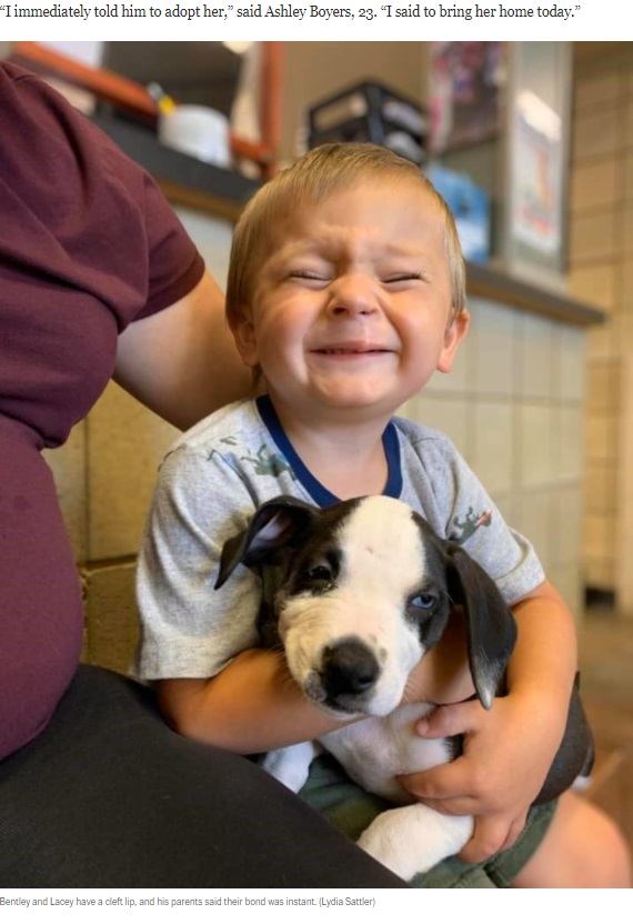 口唇裂で生まれた子犬と2歳男児（画像は『Washington Post　2020年9月10日付「A puppy with a cleft lip is adopted by a boy with a cleft lip: ‘They instantly loved each other’」（Lydia Sattler）』のスクリーンショット）