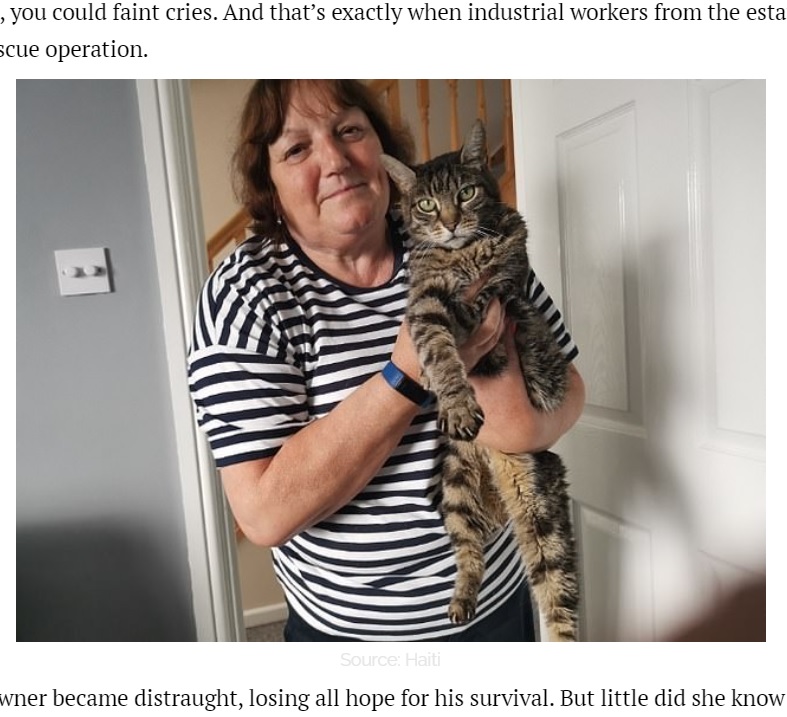 ビバリーさんに抱かれるモンティ（画像は『Small Joys　「Miracle Video Shows Tabby Cat Rescued After Surviving 2 Months Inside Metal Container」』のスクリーンショット）